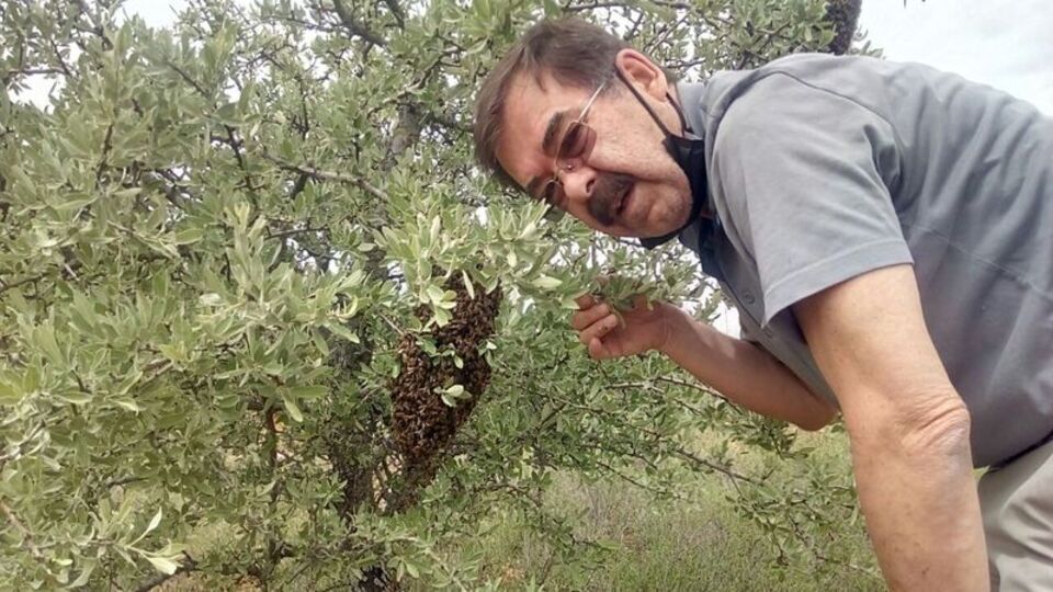 Arılara fısıldayan adam...