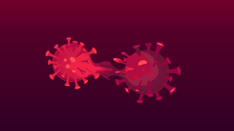 Türkiye'de en çok bu mutantlar görülüyor!