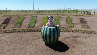 Diyarbakır Valisi Karaloğlu'ndan heykel açıklaması