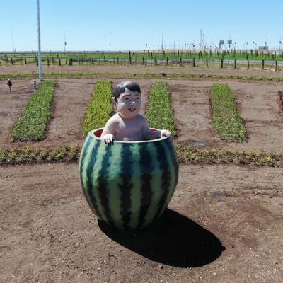 Diyarbakır Valisi Karaloğlu'ndan heykel açıklaması