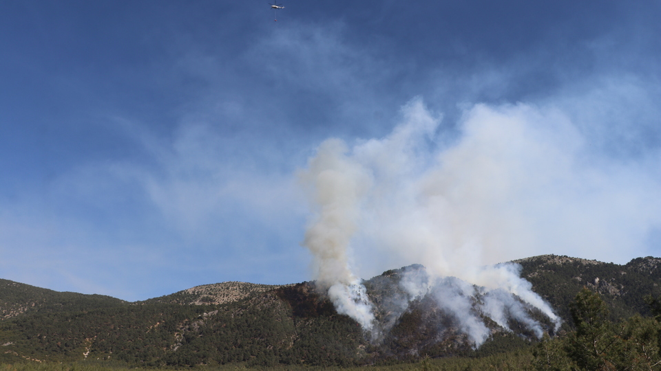 Denizli'de korkutan orman yangını