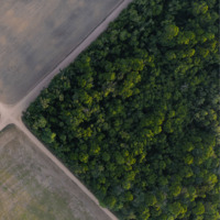 Amazon’da altın avcısı tehlikesi