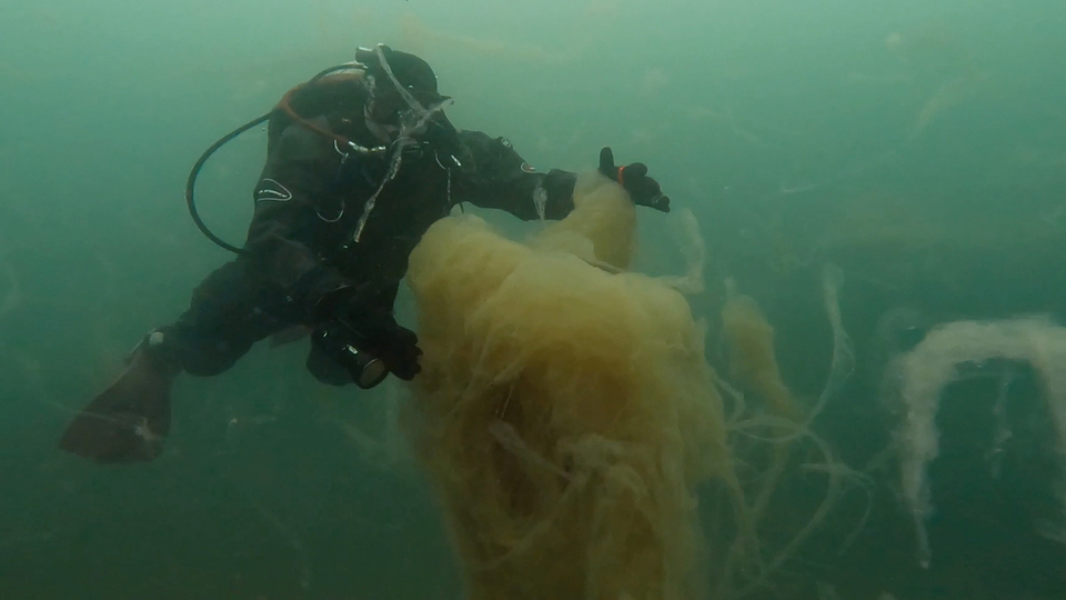 'Deniz salyası' su altında görüntülendi