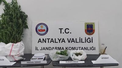 Zehir tacirleri kıskıvrak yakalandı