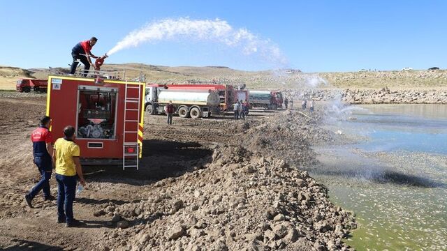 Toplu balık ölümlerinin nedeni anlaşıldı