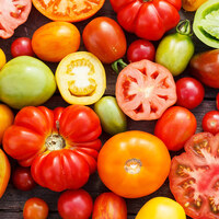 İtalyanlar domatese nasıl aşık oldu?