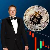 Musk yazdı, Bitcoin çakıldı