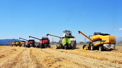 Tarım-ÜFE nisanda yıllık bazda arttı