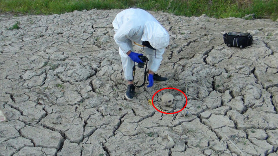 Fotoğraf çekerken şoke oldu!