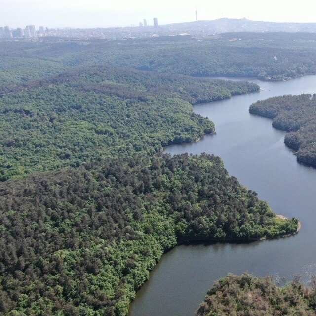 İstanbul'da baraj doluluk oranları