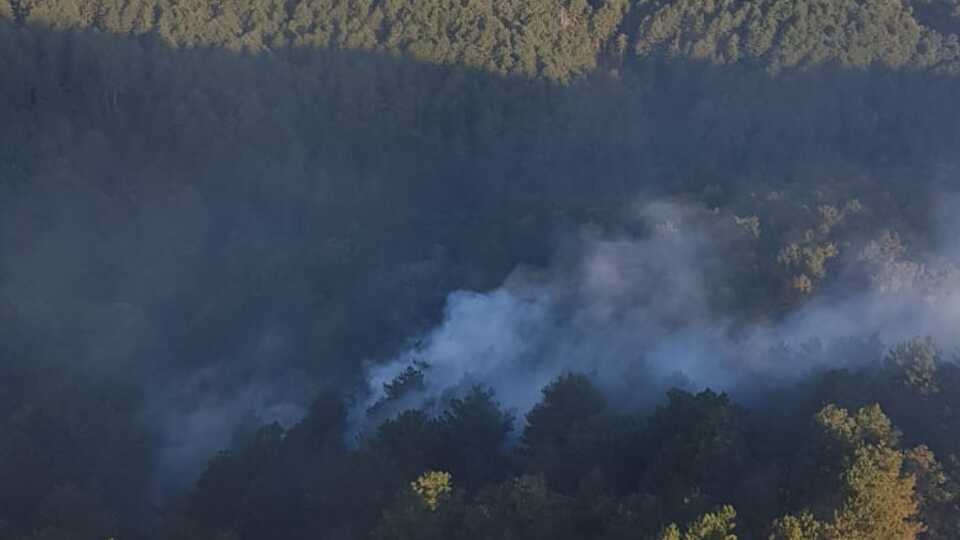 Balıkesir'de ormanlık alanda yangın!
