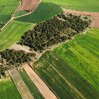 Köy sakinlerinin 18 yıllık çabası... Bakın ne için!