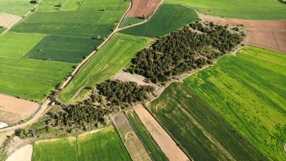Köy sakinlerinin 18 yıllık çabası... Bakın ne için!