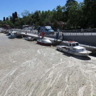 Kurbağalıdere beton dökülmüş gibi!