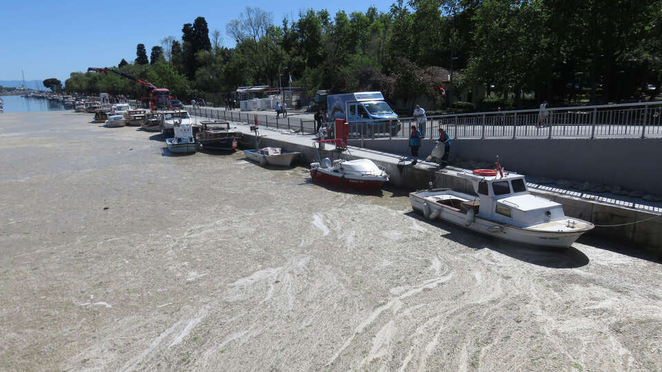 Kurbağalıdere beton dökülmüş gibi!