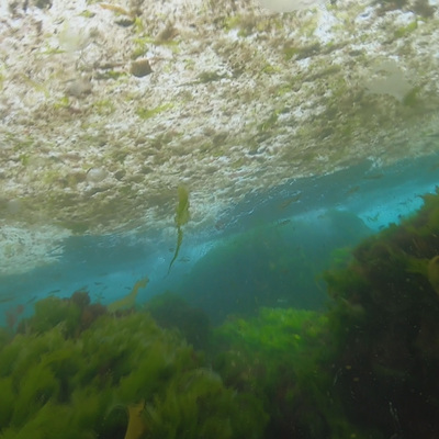 Boğaz'ın altı da salya!