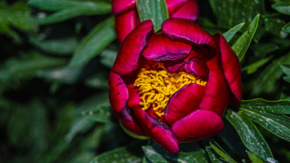 Bunu yapan yandı... 80 bin lira cezası var