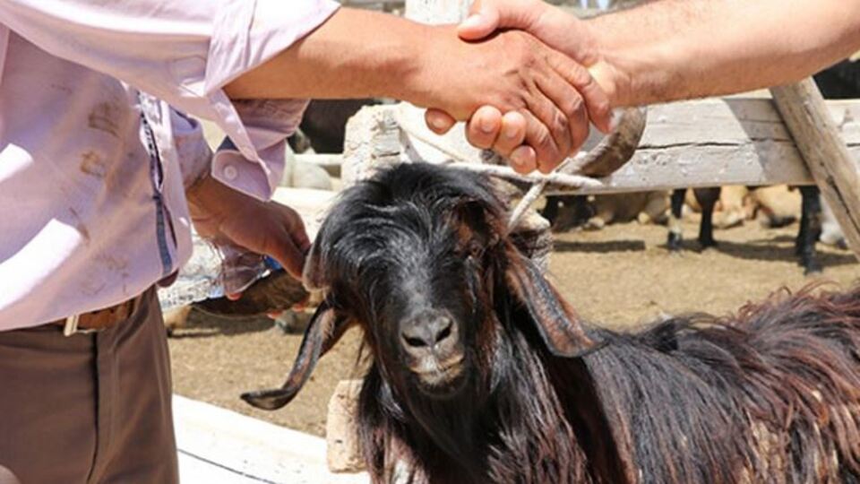 2021 Kurban Bayramı ne zaman?