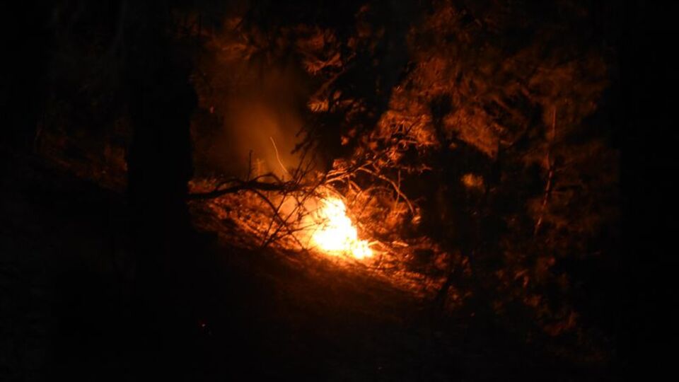 Eskişehir'de orman yangını