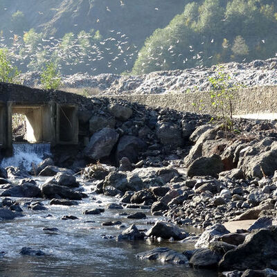 Karadeniz'i tehdit eden sızıntıya soruşturma!