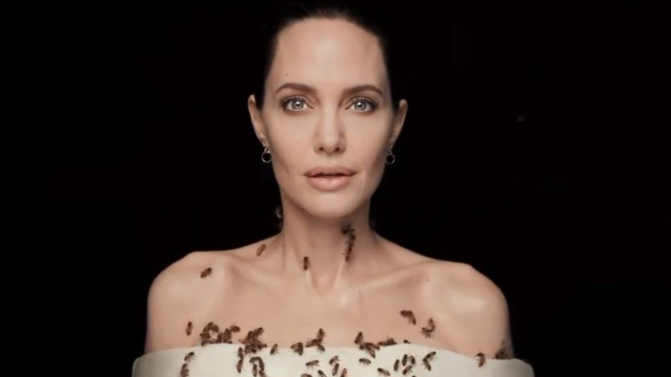 Arılarla kamera karşısında