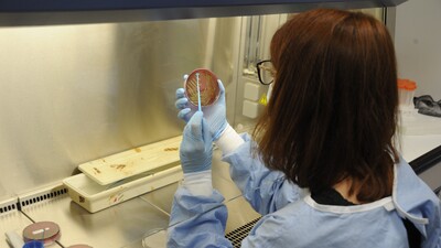 Koronadan daha tehlikeli!