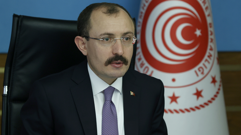 Hibe desteğinden kimler faydalanacak?