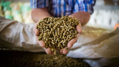 Yem sanayicilerinden TMO'ya çağrı