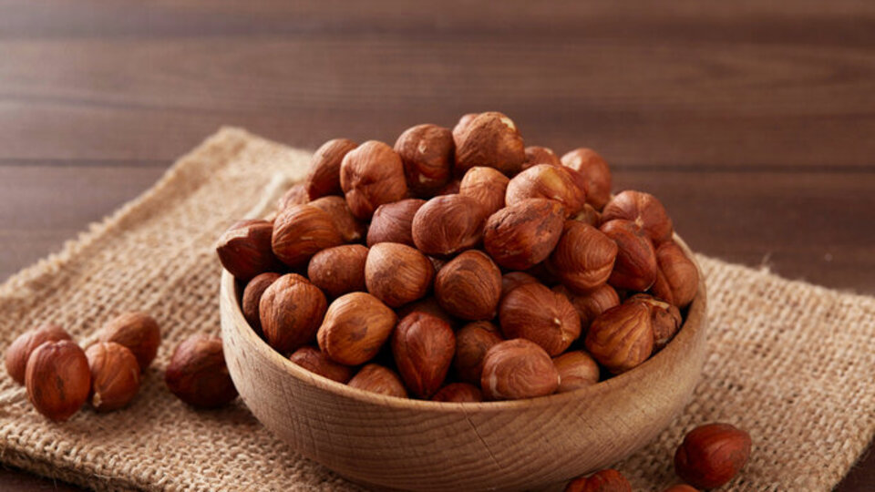 İl il fındık fiyatları