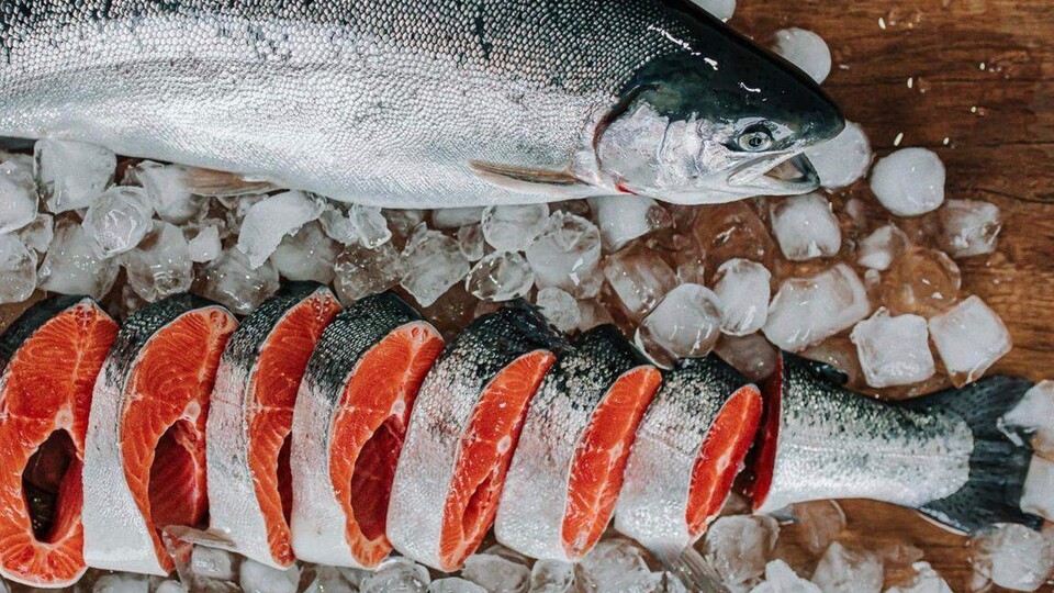 Karadeniz somonu 10 ülkeye gitti