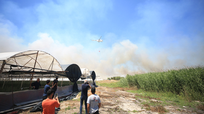 Antalya'da sazlık alanda yangın!