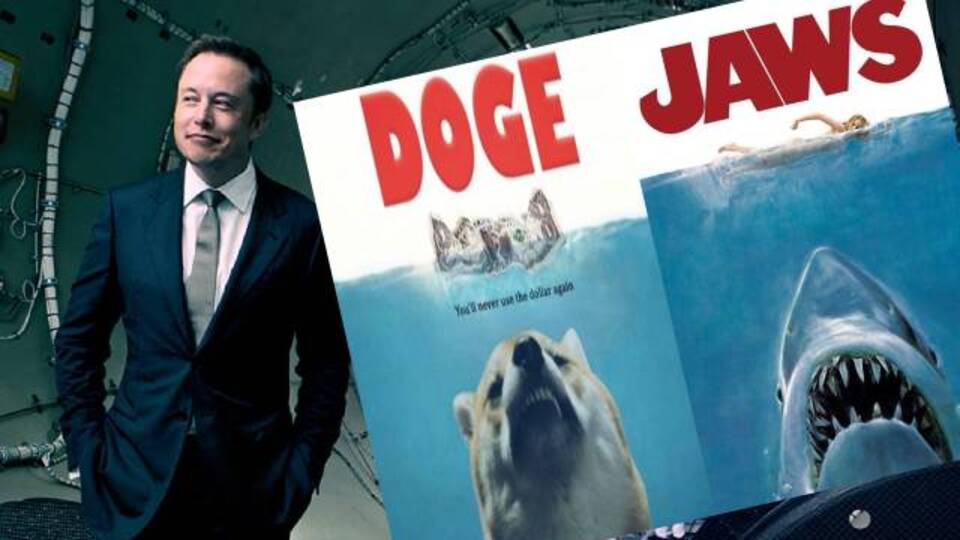 Musk'tan Ethereum'un kurucusuna Doge mesajı