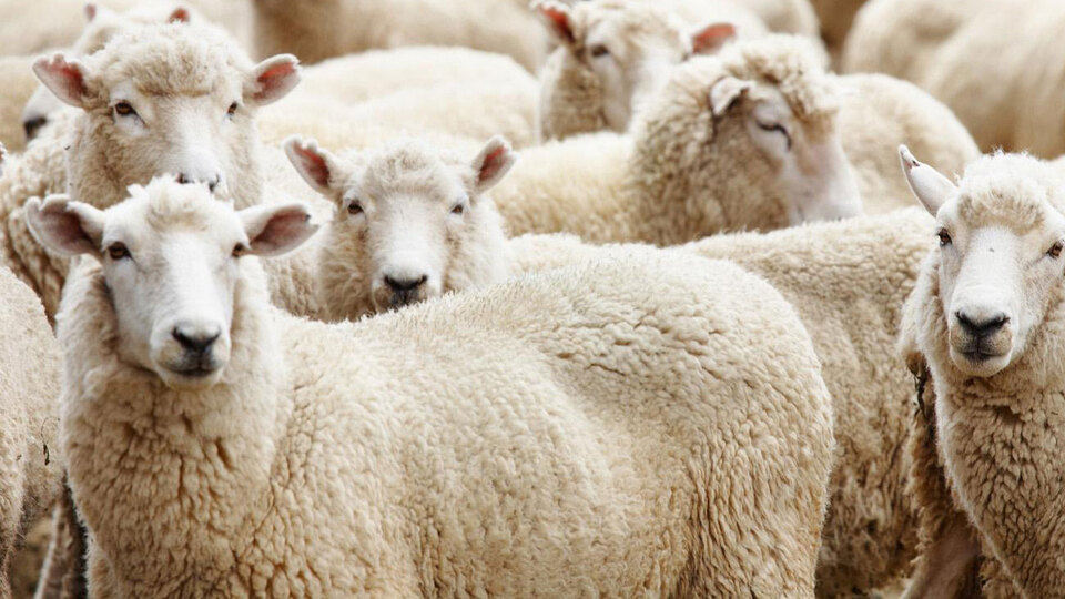 2021 Kurban Bayramı ne zaman?