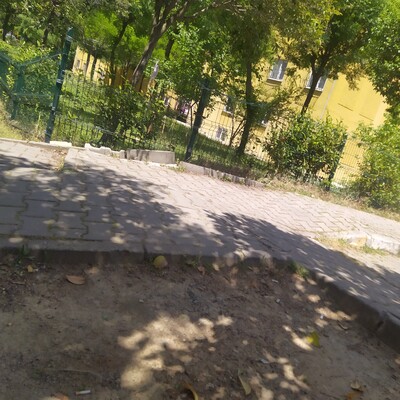 Annesini satırla öldürüp kafasını kesti!