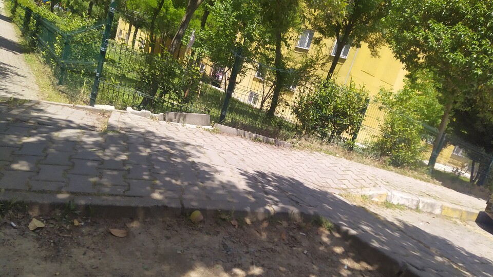 Annesini satırla öldürüp kafasını kesti!