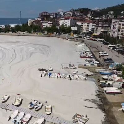 Yayılıyor! Yalova'ya kadar ulaştı