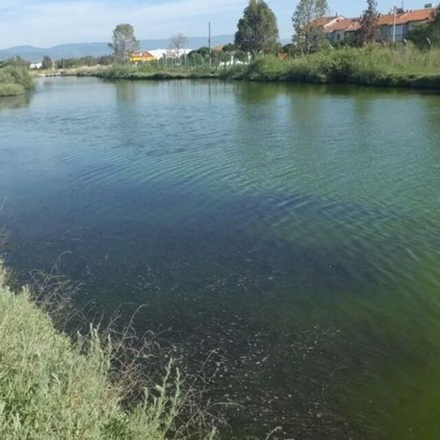 Doğal sit alanında koku kâbusu!
