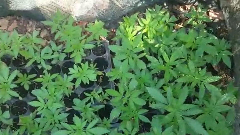 Beykoz'da uyuşturucu operasyonu