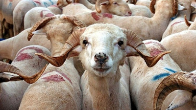 2021 Kurban Bayramı ne zaman?