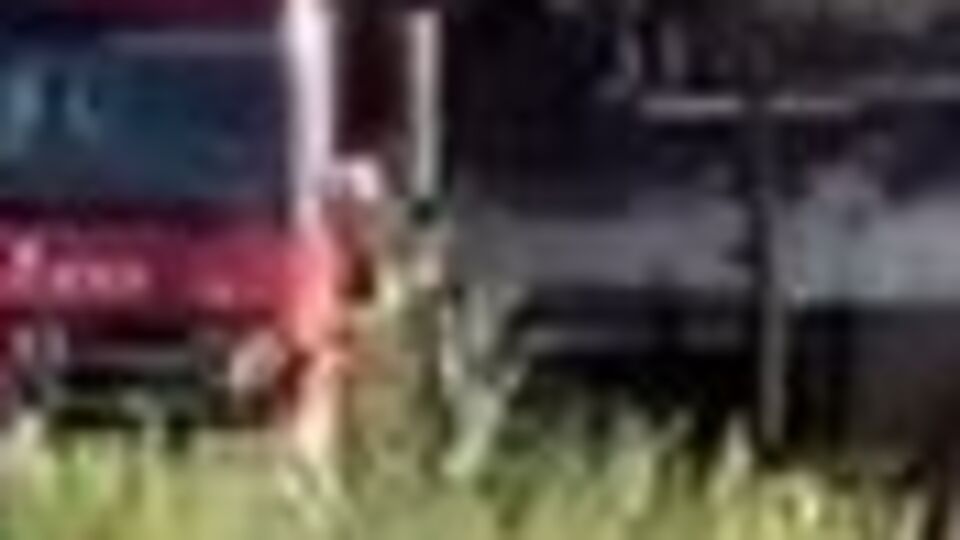 Zonguldak'ta tersanede yangın!