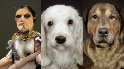 Sanat dolu günler başlıyor