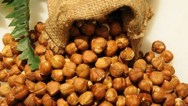 İl il fındık fiyatları