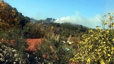 Muğla'da korkutan orman yangını!