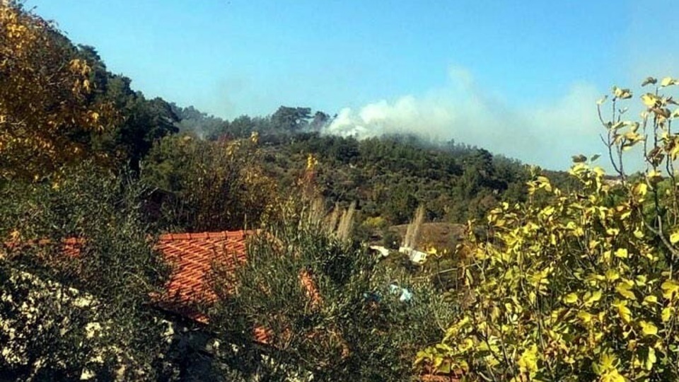 Muğla'da korkutan orman yangını!