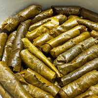 Zeytinyağlı yaprak sarma