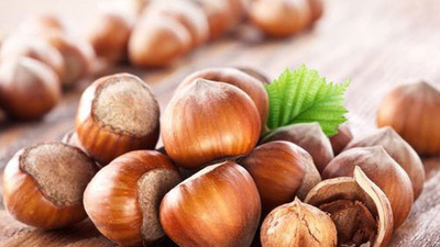 İl il fındık fiyatları 2021