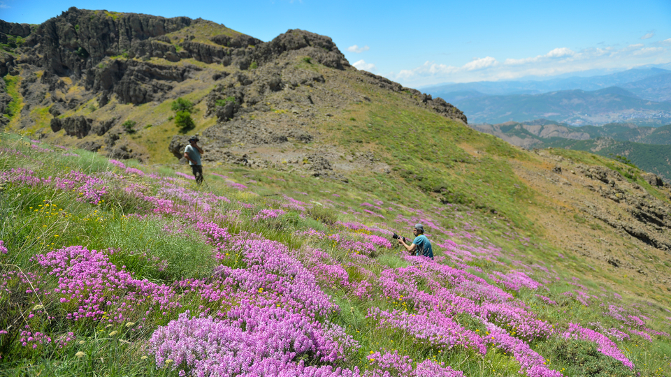 Doğayla baş başa kalmak isteyenlerin uğrak yeri