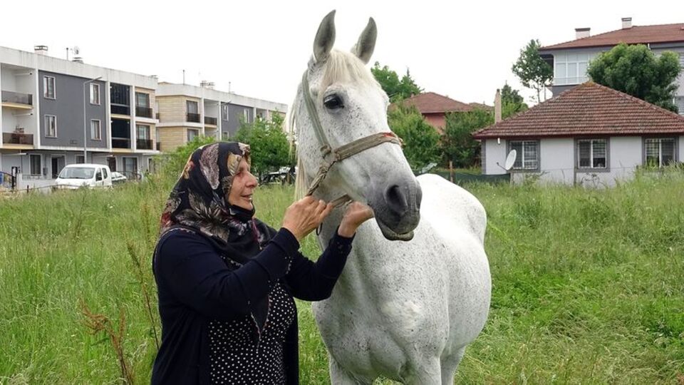 Emekli yarış atı evladı gibi oldu