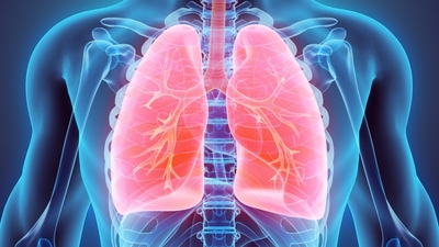 Sigarayı bırakmaya yardımcı 12 etkili öneri!