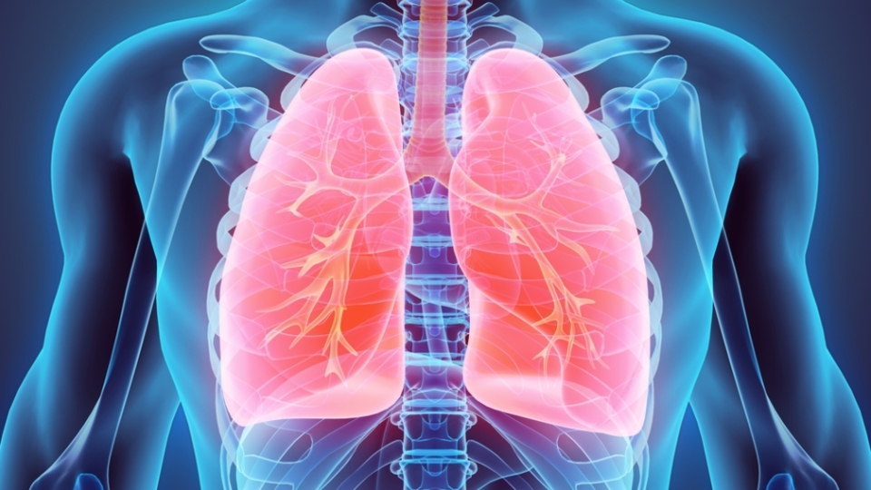 Sigarayı bırakmaya yardımcı 12 etkili öneri!